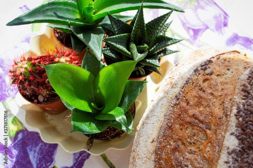 Composition in the rays of the bright summer sun. Homemade whole grain bread with flax seeds, and ca