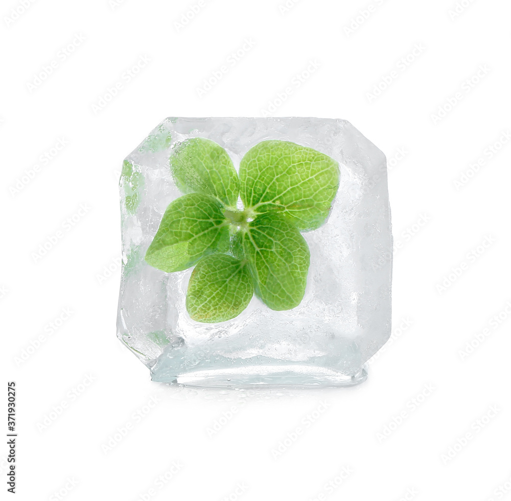 Frozen flower in ice on white background