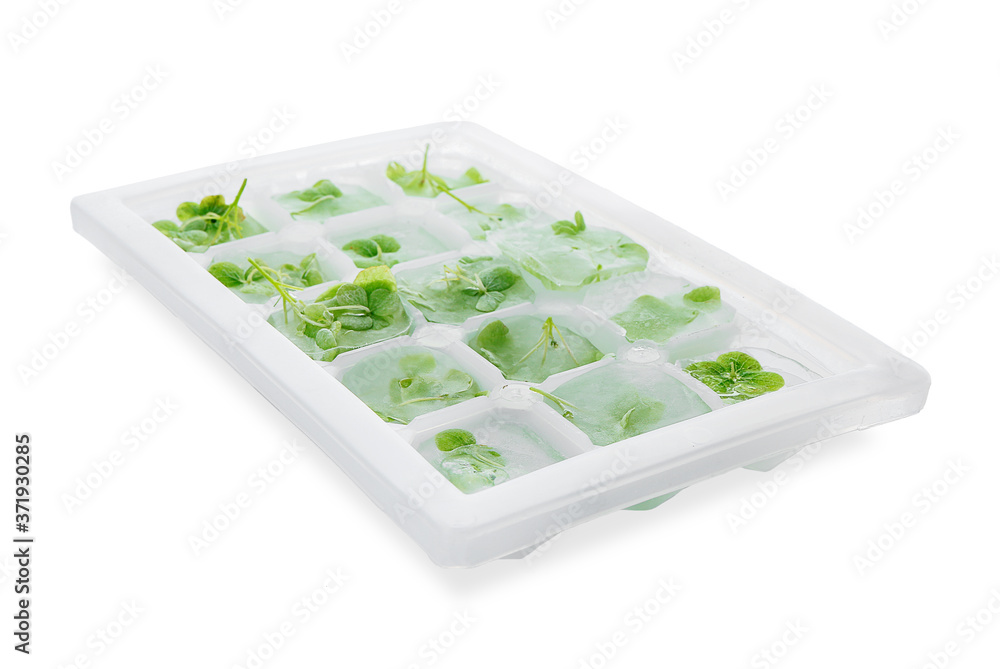 Tray with frozen flowers in ice on white background