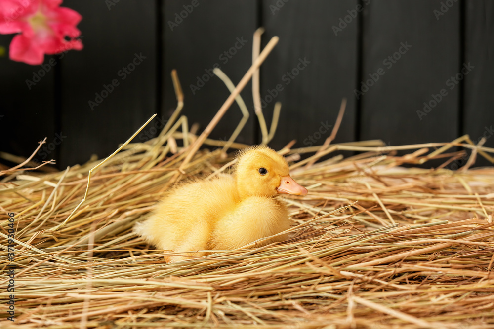 Cute duckling with straw on table