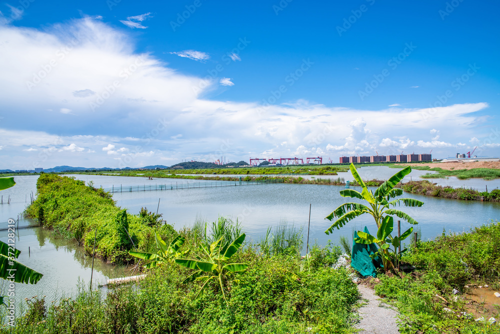 Jiwei Fish Pond on Longxue Island, Nansha District, Guangzhou, China