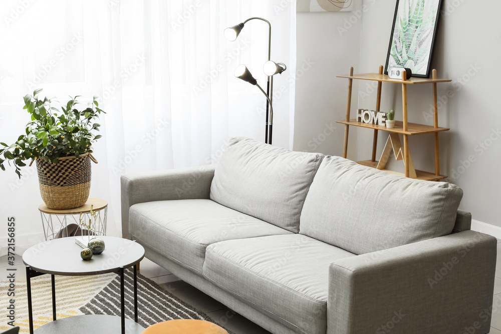 Stylish interior of living room with sofa