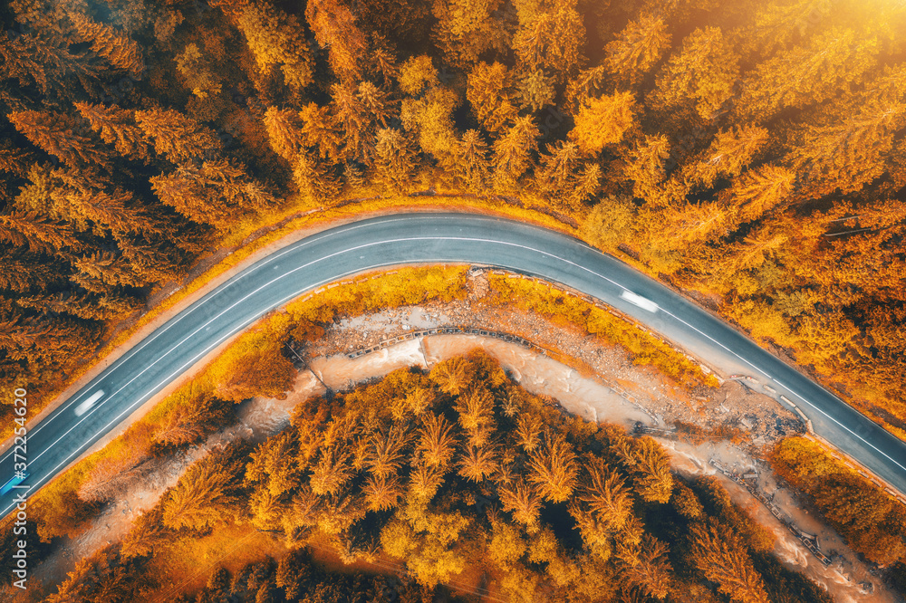 秋天日落时，美丽的橙色森林中的道路鸟瞰图。道路的彩色景观，