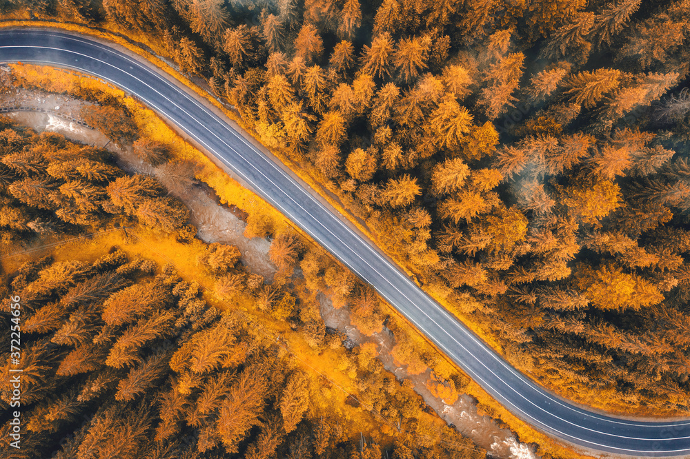 秋天日落时，美丽的橙色森林中的道路鸟瞰图。道路的彩色景观，