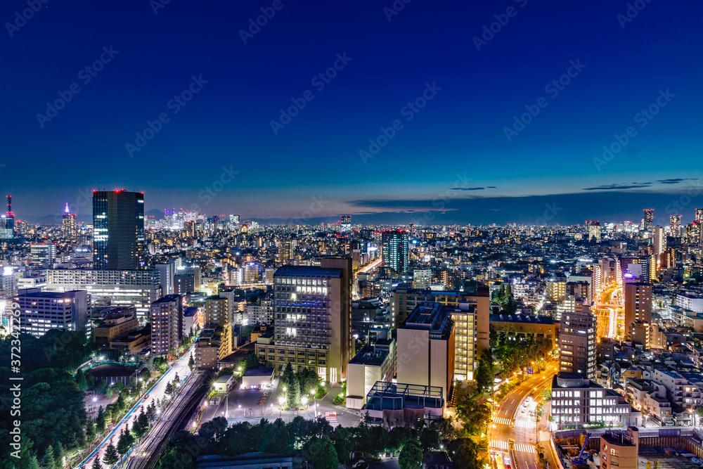 夕暮れの光が綺麗な高層ビル群と空