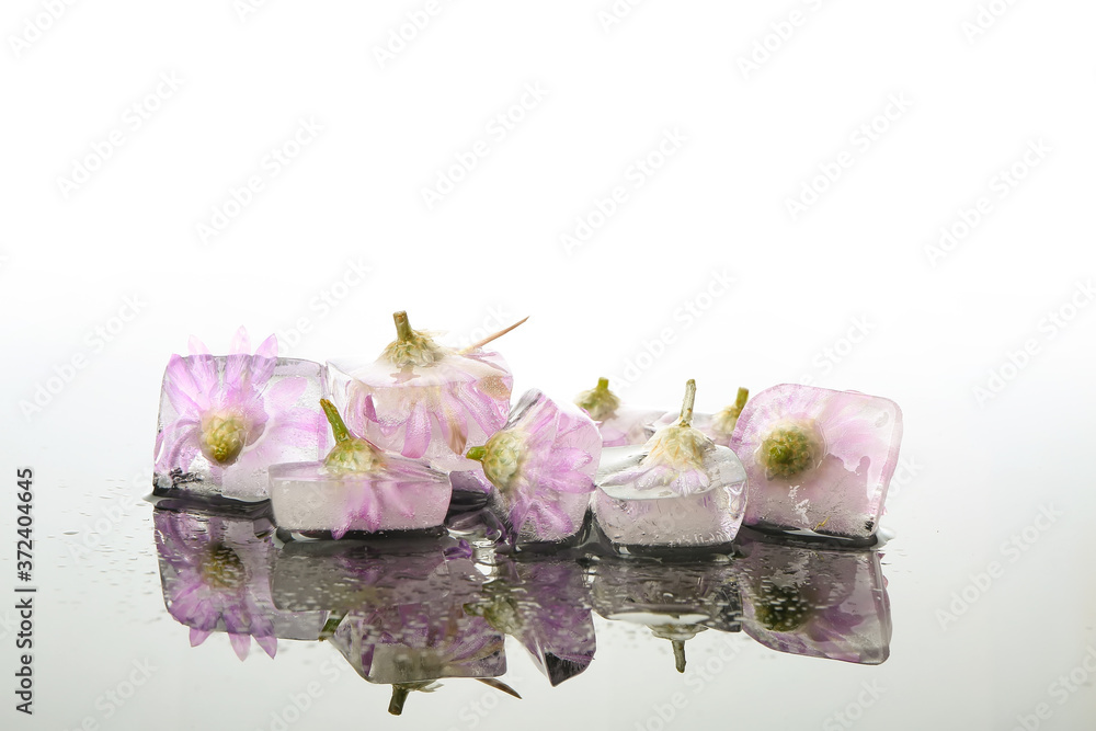 Frozen flowers in ice on white background