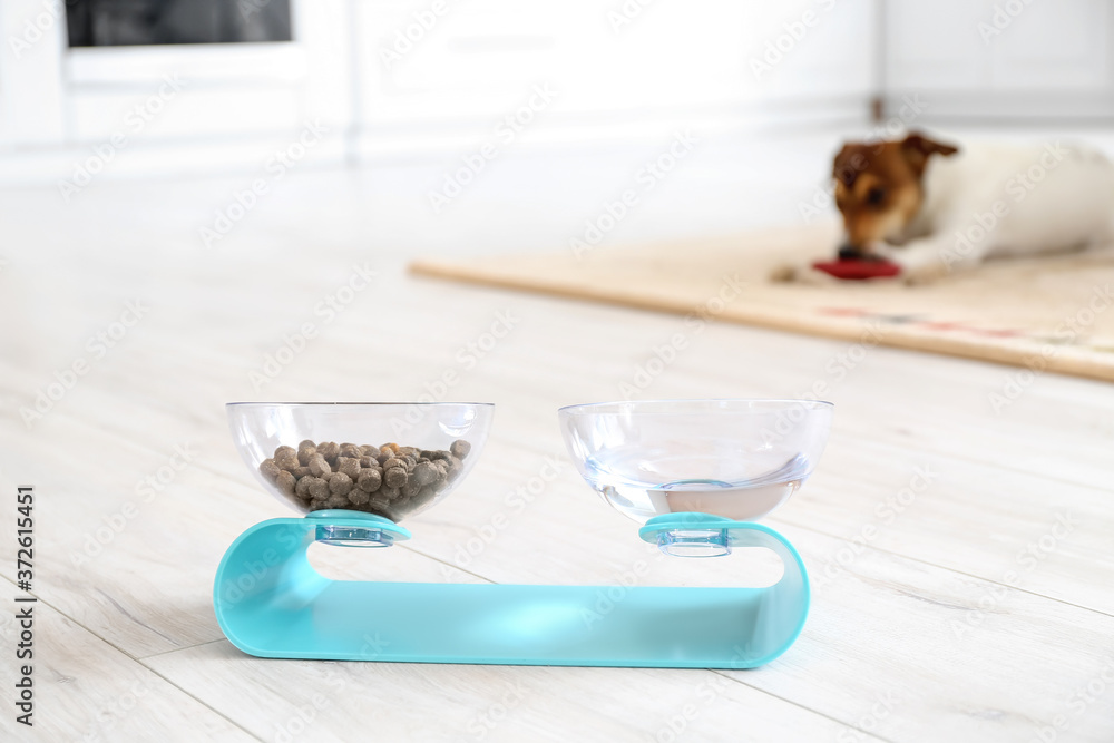 Pet bowls with food and drink on floor in kitchen