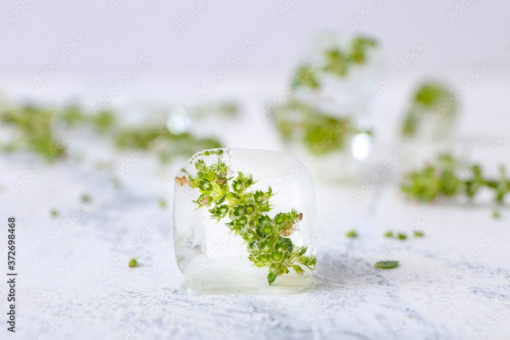 Frozen flowers in ice on white background