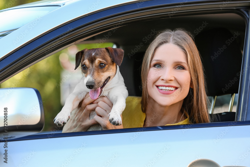 Woman with cute dog in modern car