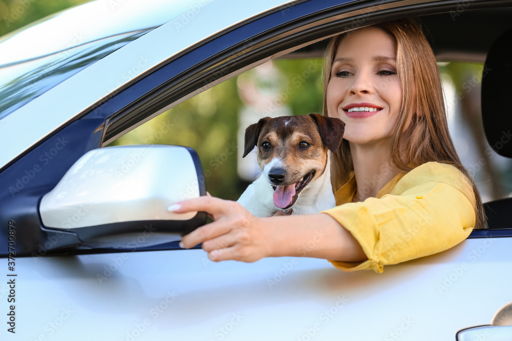 Woman with cute dog in modern car