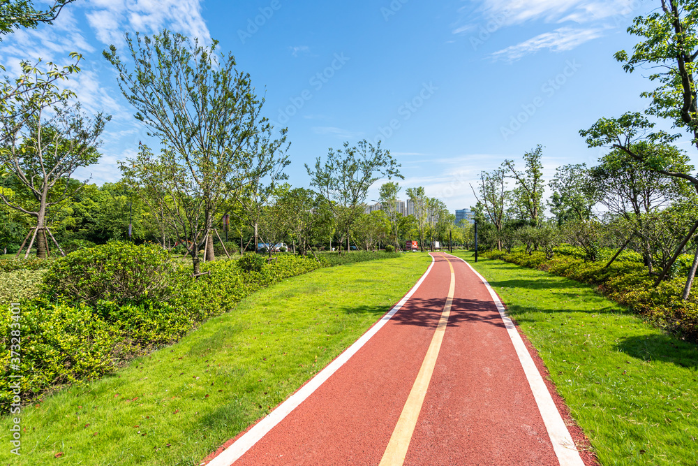 公园道路