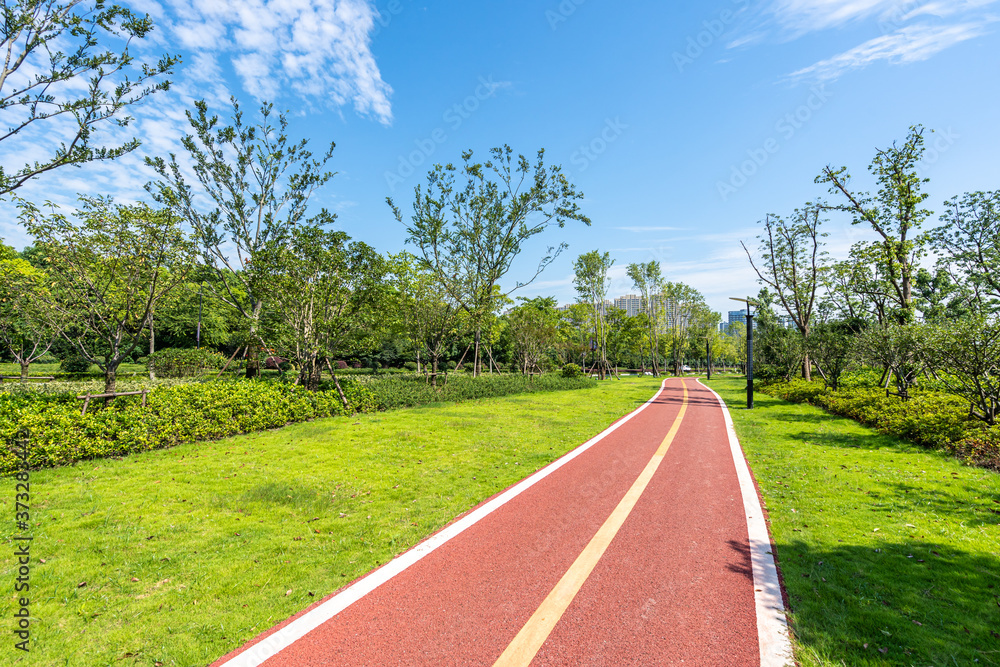 城市公园道路