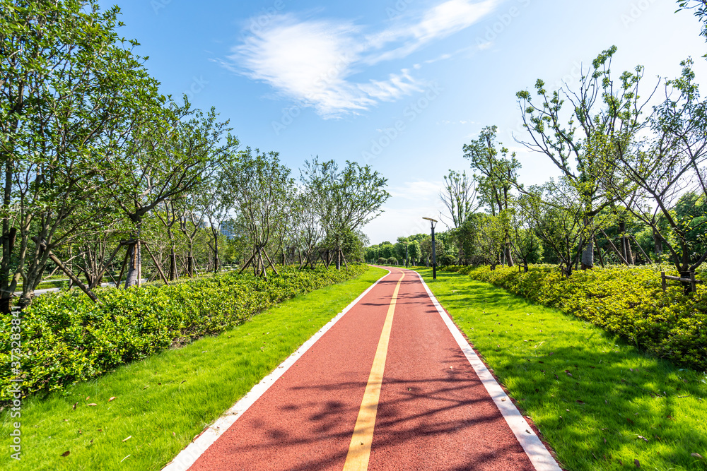 公园道路