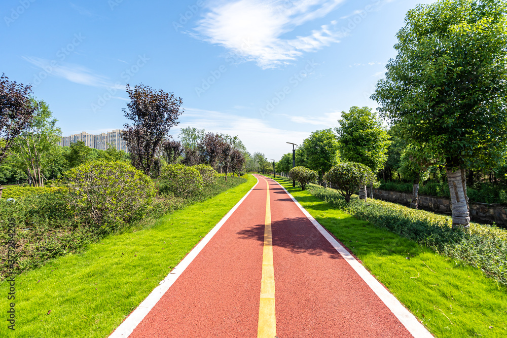 road in park