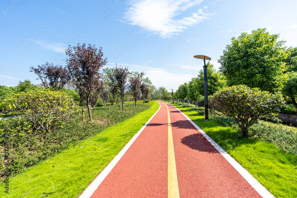 公园道路