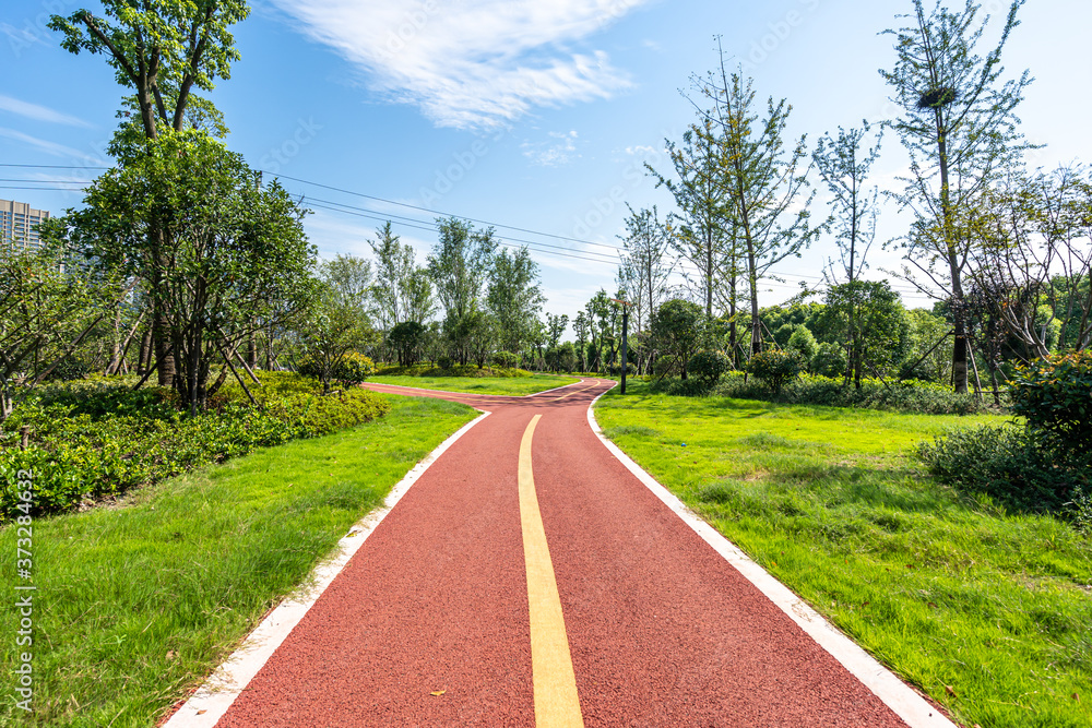 road in park