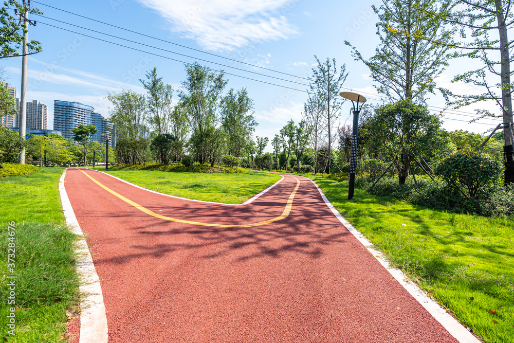 公园道路