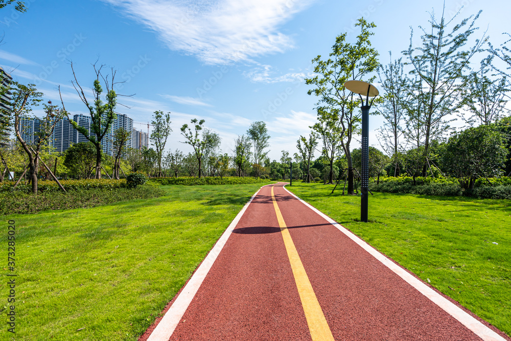 公园道路