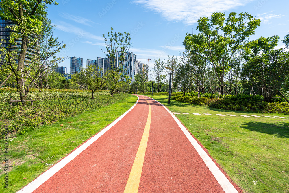 road in park