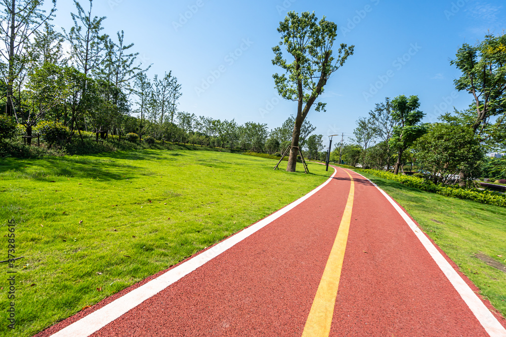 road in park