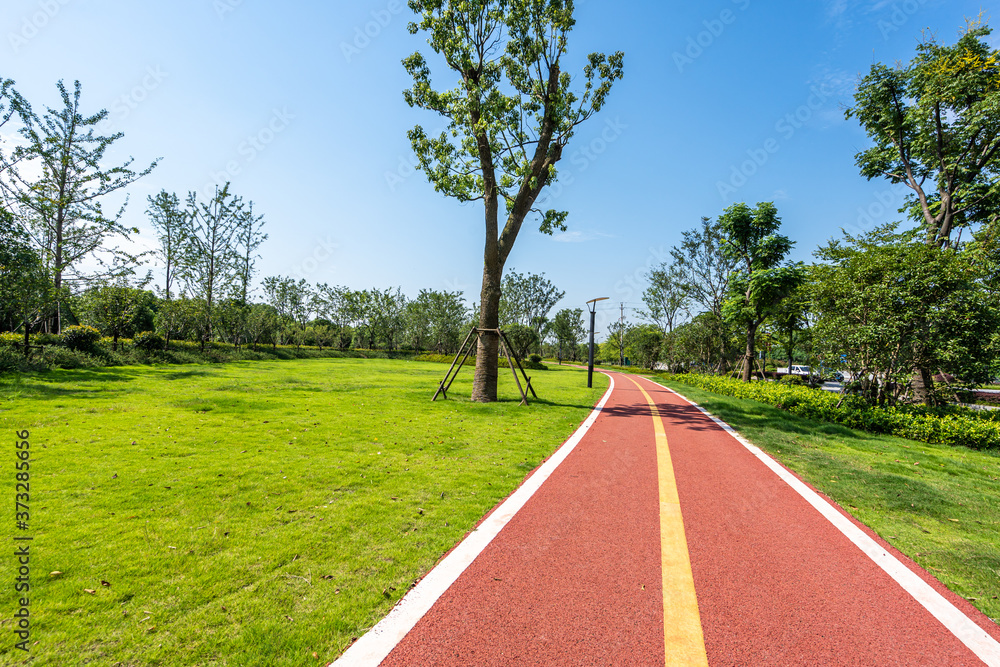 公园道路