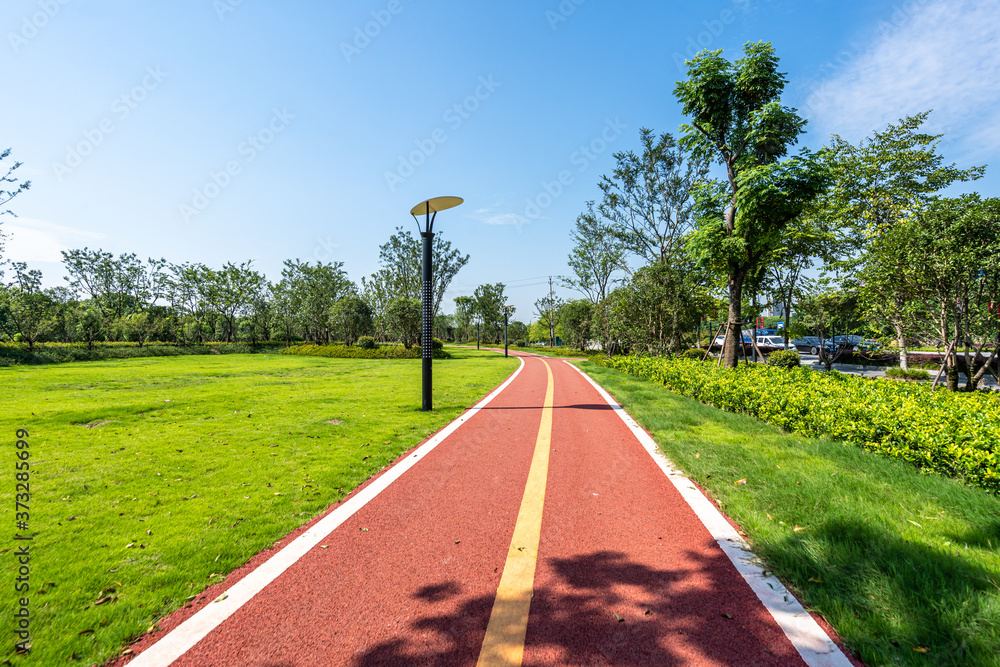 road in park