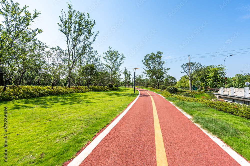 road in park