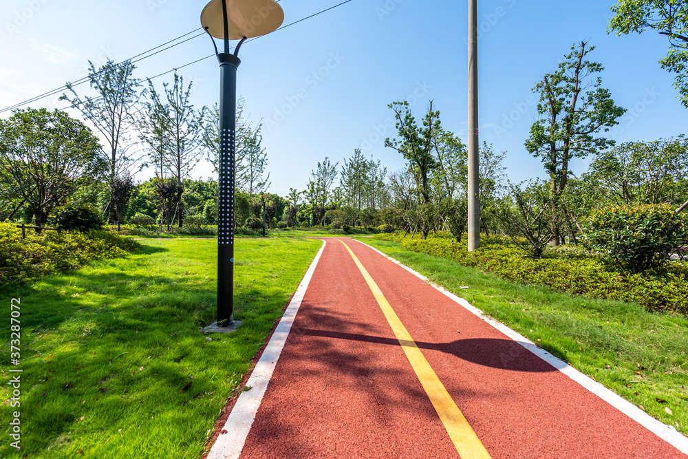 road in park