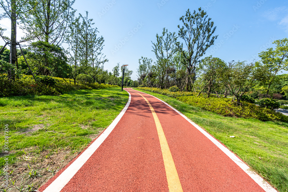 road in park