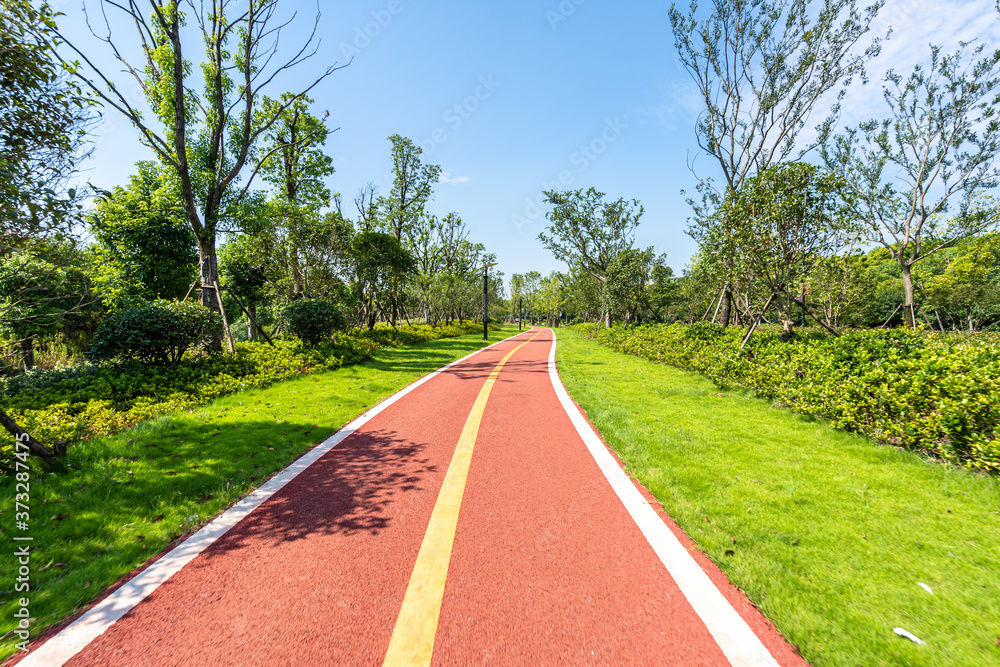 公园道路