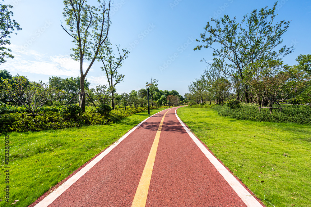 road in park