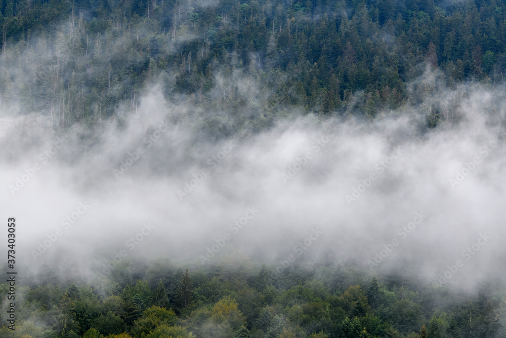 Majestic view on beautiful fog and cloud mountains in mist landscape.