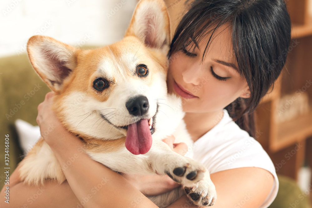 家里养着可爱柯基犬的女人