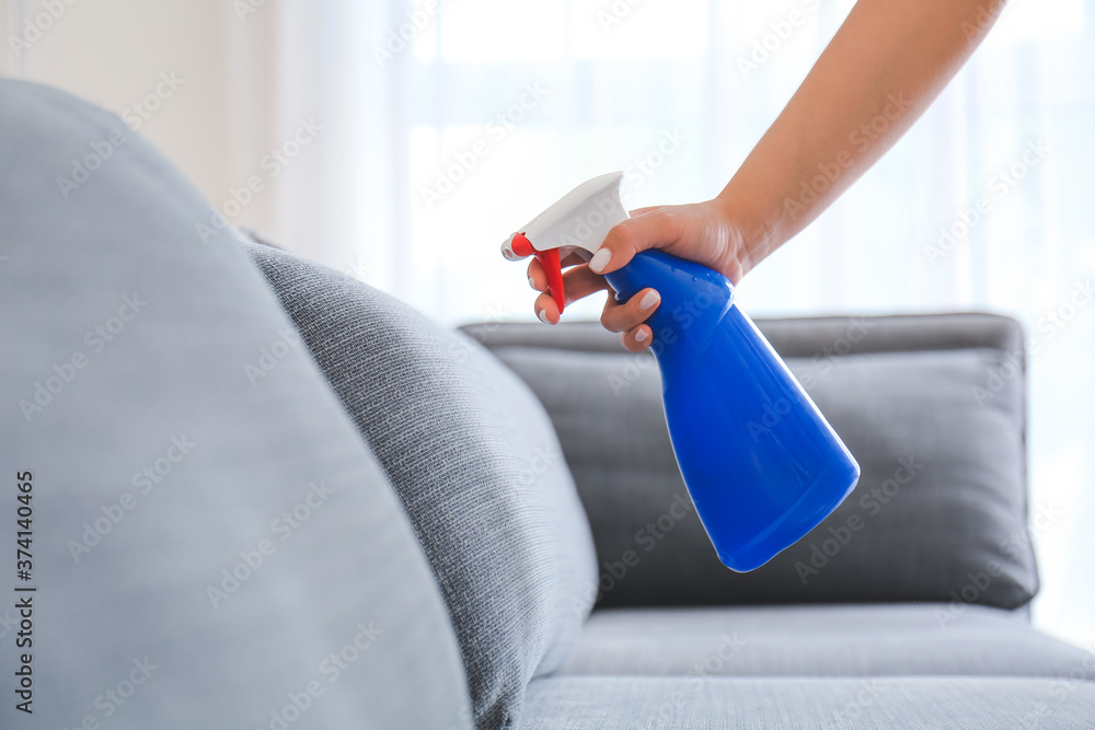 Woman removing dirt from sofa at home