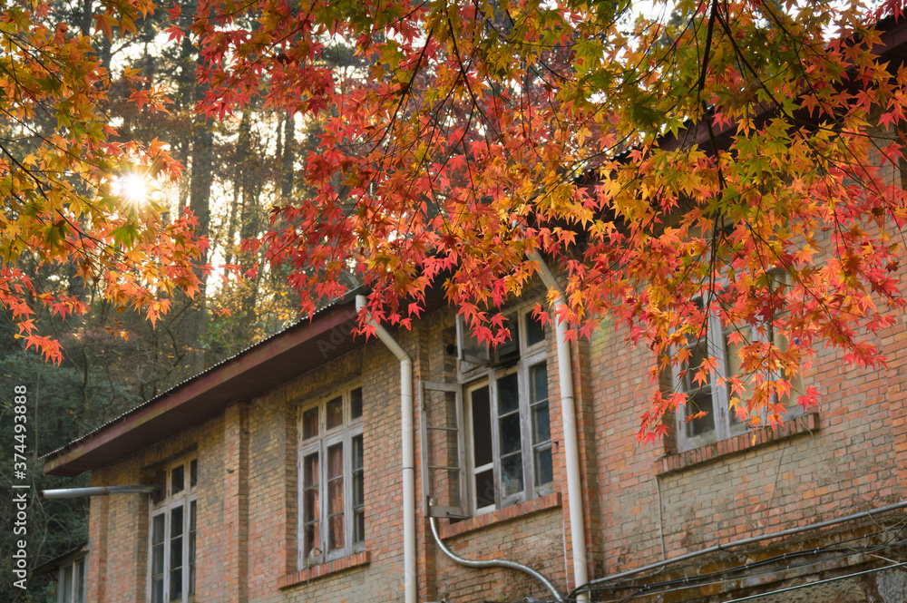 Beautiful Mountain Lu geopark landscapes in late autumn, Jiujiang, Jiangxi, China