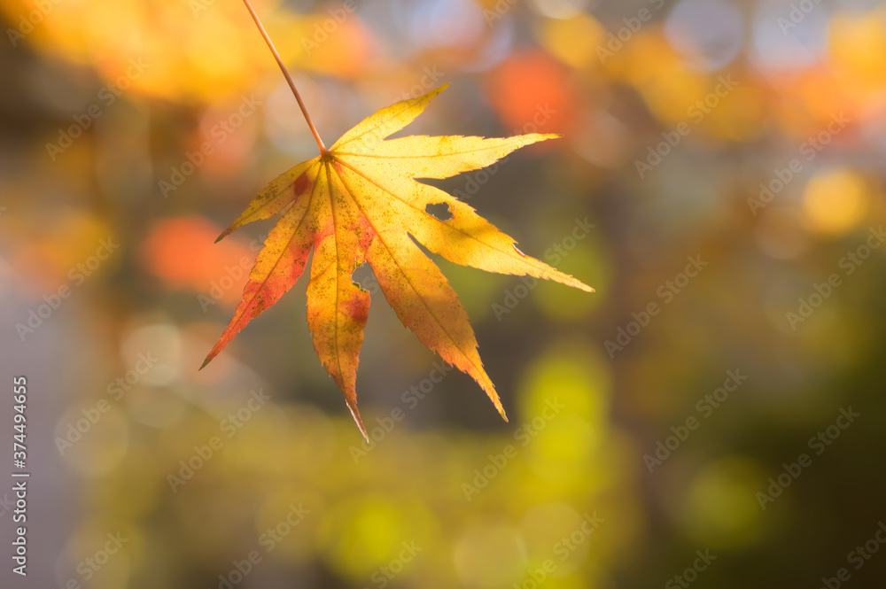 Beautiful Mountain Lu geopark landscapes in late autumn, Jiujiang, Jiangxi, China