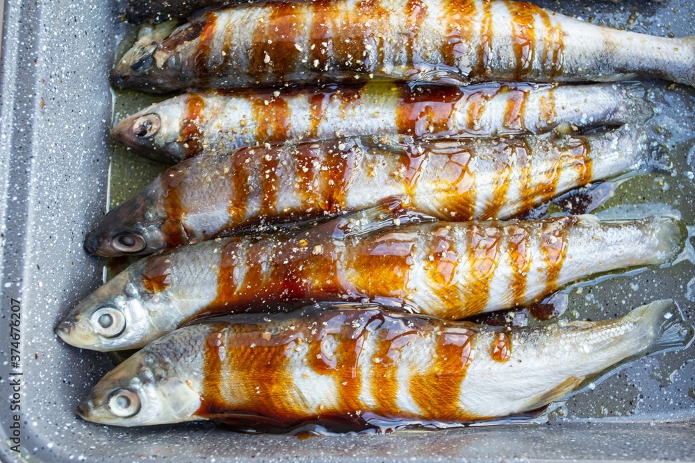 Composition in natural light. Sardines in oil and sauce, on a baking tray