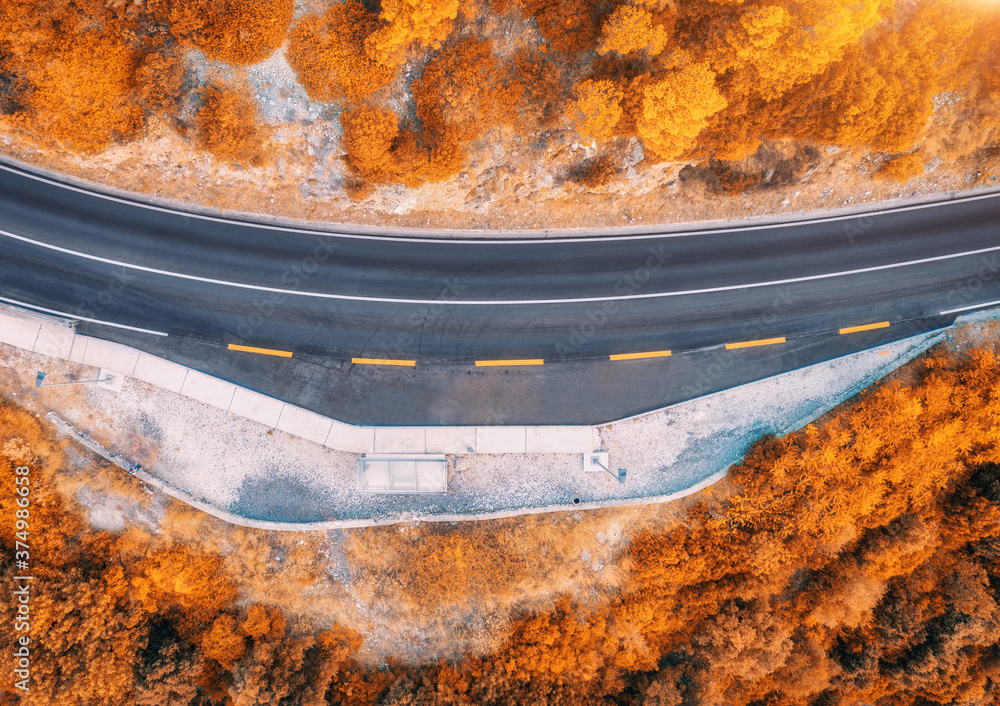 秋天日落时，美丽的橙色森林中的道路鸟瞰图。道路的彩色景观，