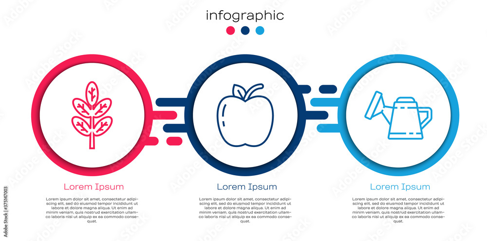 设置行Leaf或leaves，Apple和Watering can。商业信息图模板。Vector。