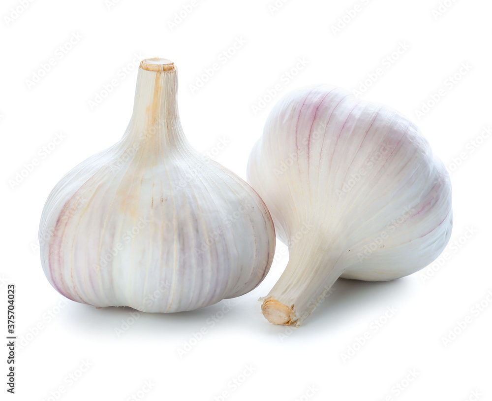 Fresh garlic on white background