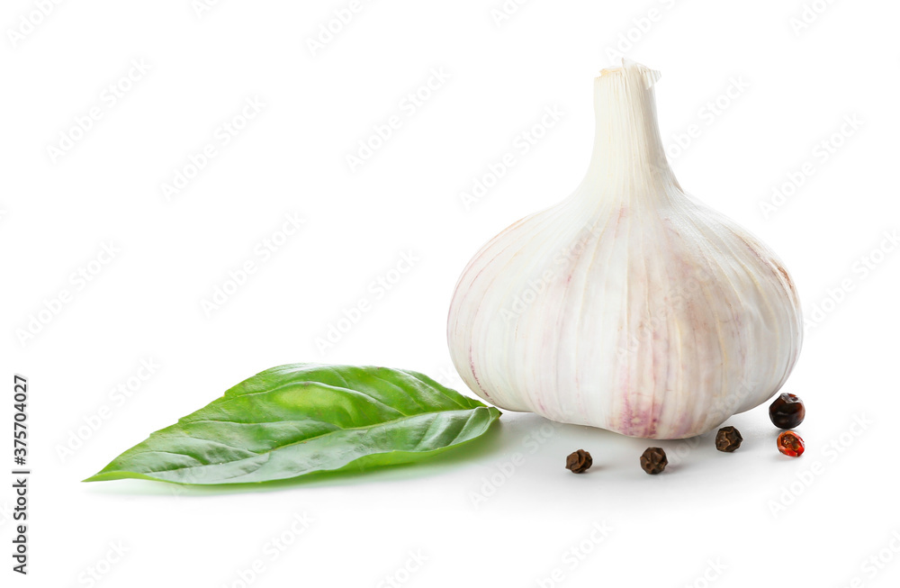 Fresh garlic on white background