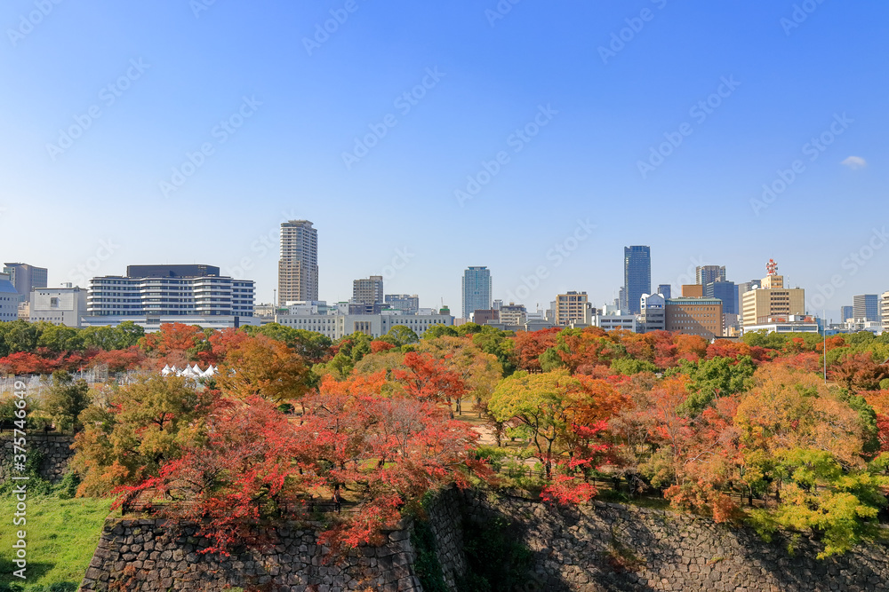 从大阪Ca看，美丽的城市景观，前景是五颜六色的树林，背景是蓝天