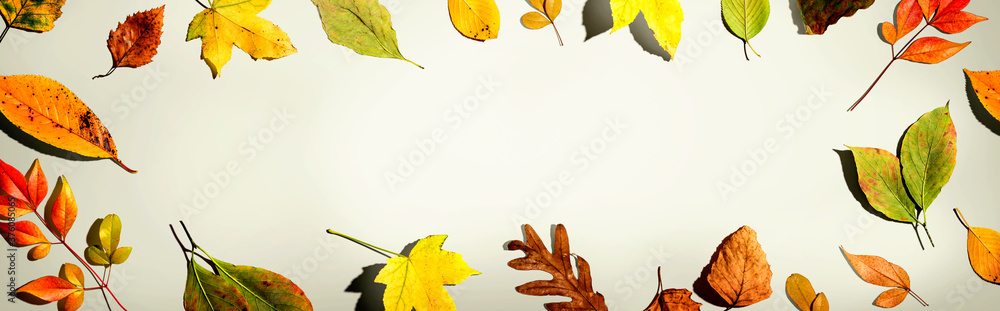 Colorful autumn leaves overhead view - flat lay