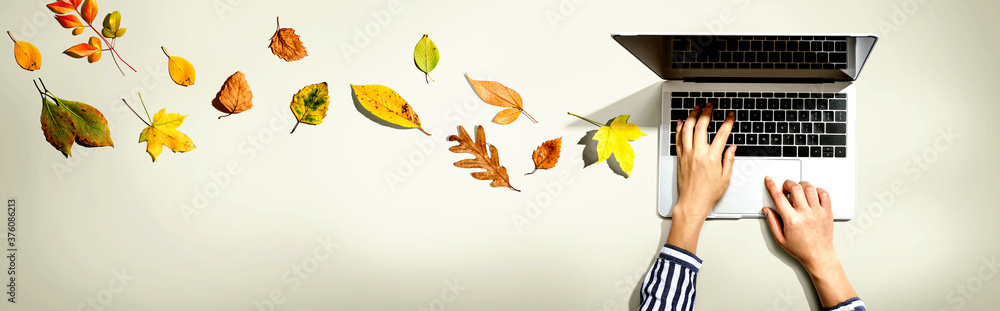 Autumn leaves with person using a laptop computer from above