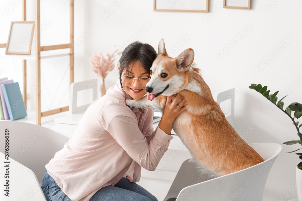 家里养着可爱柯基犬的女人