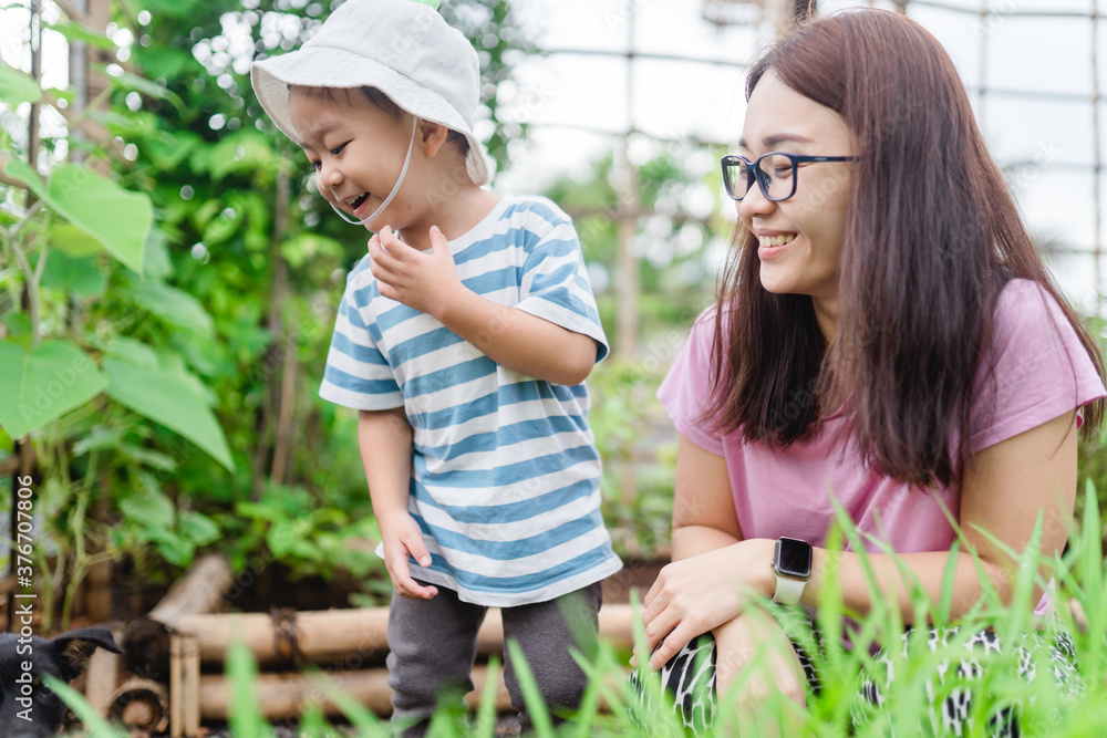 母亲和儿子蹒跚学步的男孩在夏天的有机蔬菜农场。母亲和孩子收获有机ve