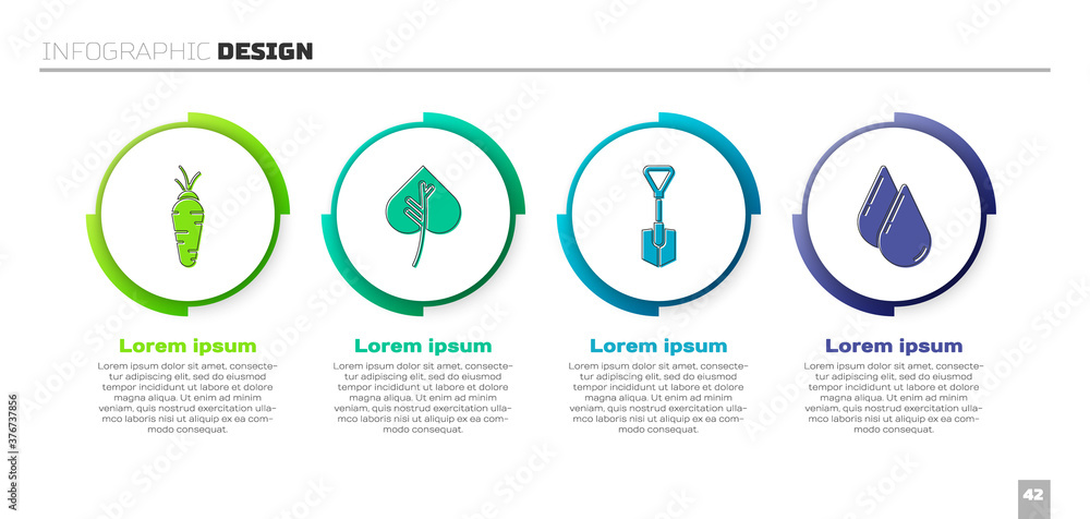 设置胡萝卜、叶子或叶子、铲子和水滴。商业信息图模板。矢量。