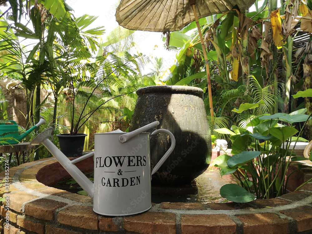 Watering plants in the outdoor garden