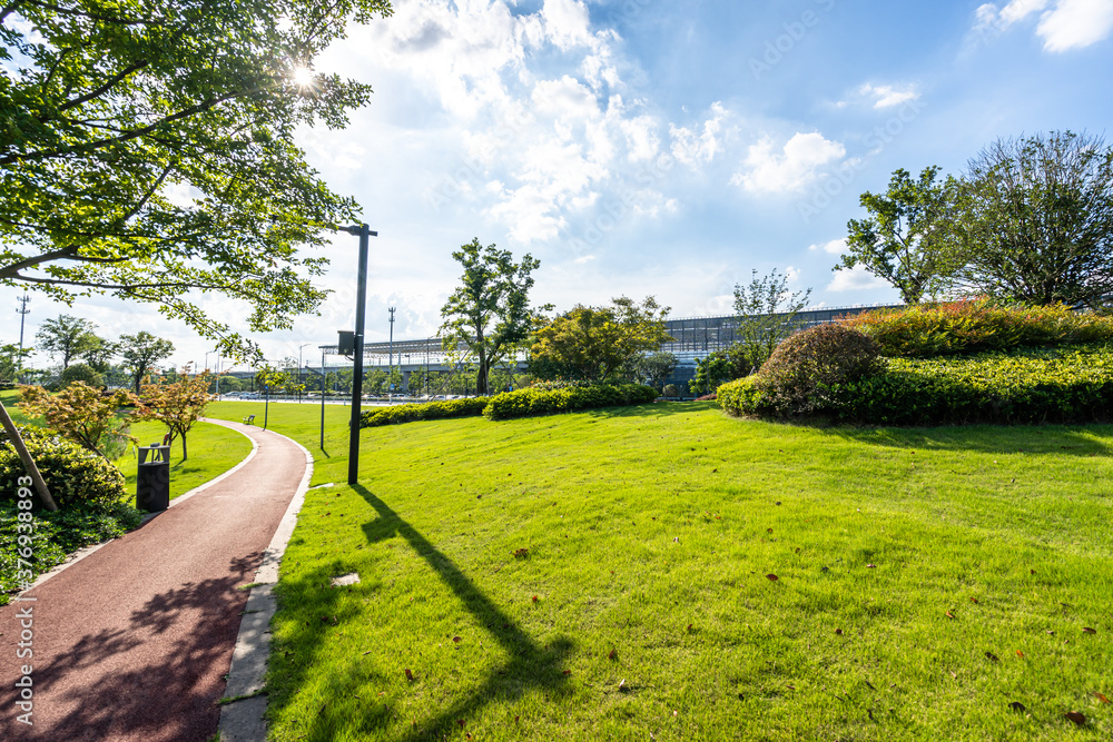 green lawn in city park