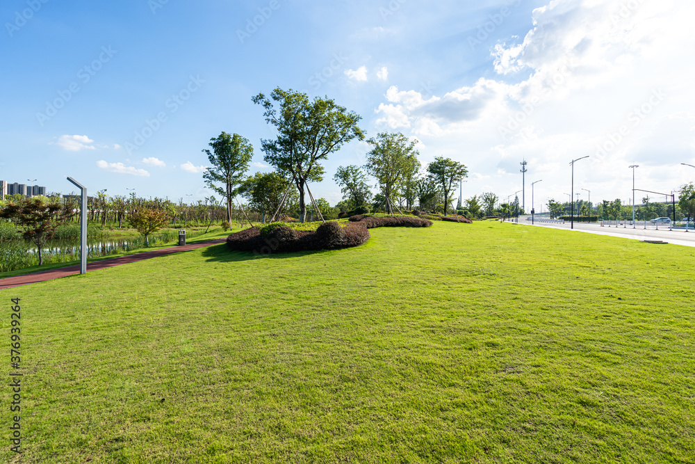 green lawn in city park